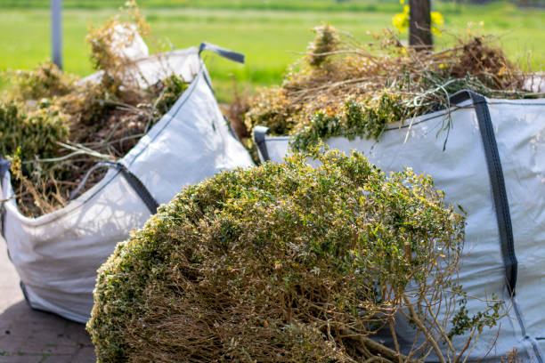 Professional Junk Removal Services in Clarksville, IA